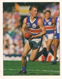 1994 Select AFL Stickers #117 Brad Nicholson Front